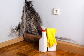 Best Comprehensive Air Testing for Mold Contaminants  in Myrtle Grove, FL